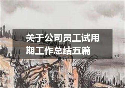 关于公司员工试用期工作总结五篇