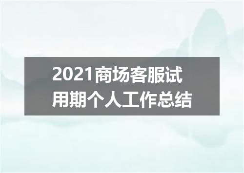 2021商场客服试用期个人工作总结