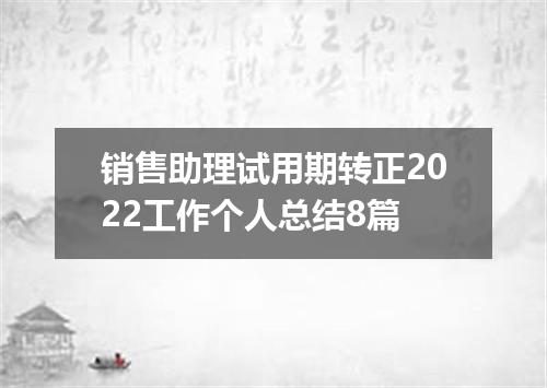 销售助理试用期转正2022工作个人总结8篇