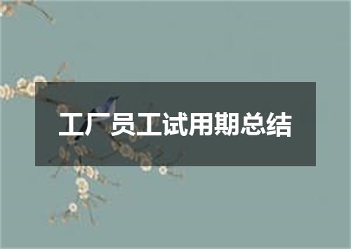 工厂员工试用期总结