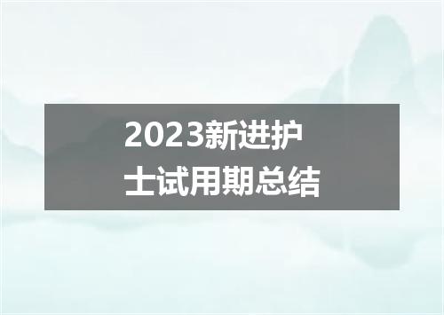 2023新进护士试用期总结