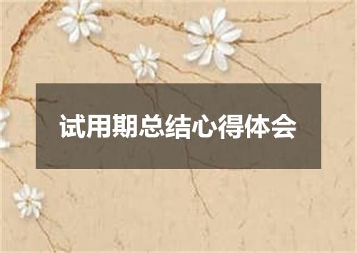 试用期总结心得体会