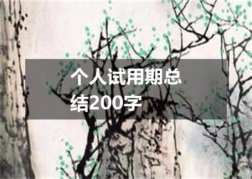 个人试用期总结200字