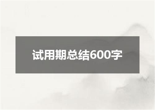试用期总结600字