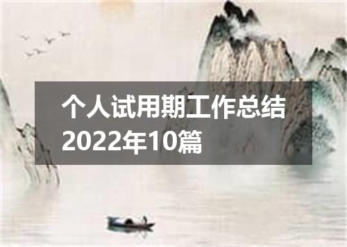 个人试用期工作总结2022年10篇