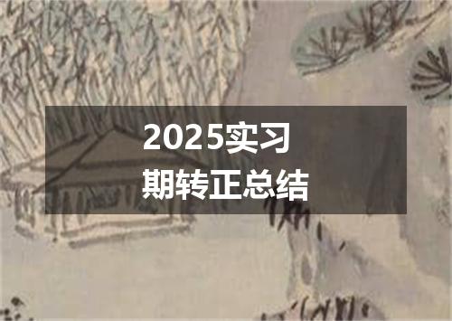 2025实习期转正总结
