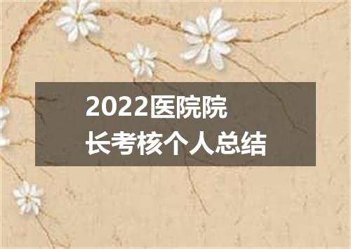2022医院院长考核个人总结