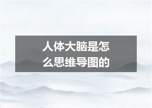 人体大脑是怎么思维导图的
