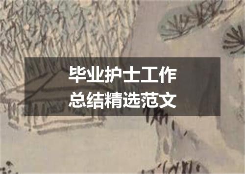 毕业护士工作总结精选范文