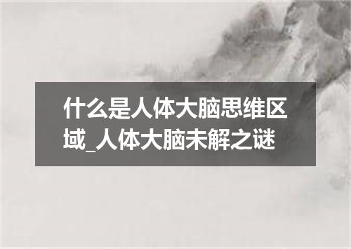 什么是人体大脑思维区域_人体大脑未解之谜