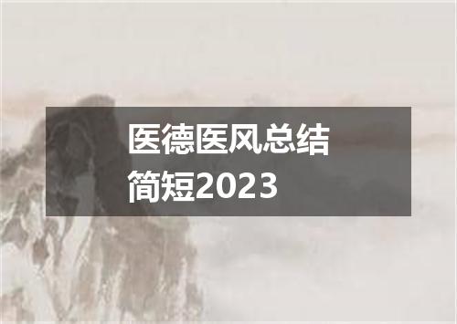 医德医风总结简短2023