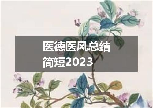 医德医风总结简短2023