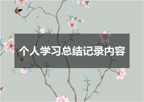 个人学习总结记录内容