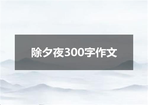 除夕夜300字作文