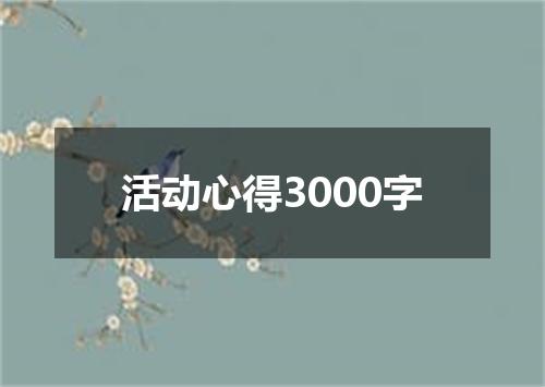 活动心得3000字