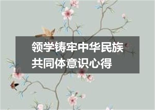 领学铸牢中华民族共同体意识心得