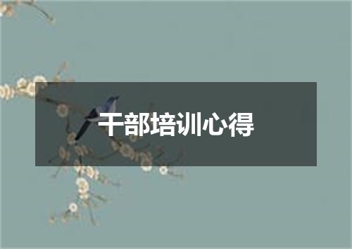 干部培训心得