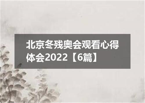 北京冬残奥会观看心得体会2022【6篇】
