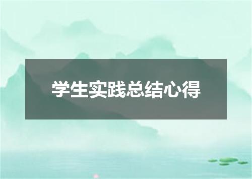 学生实践总结心得