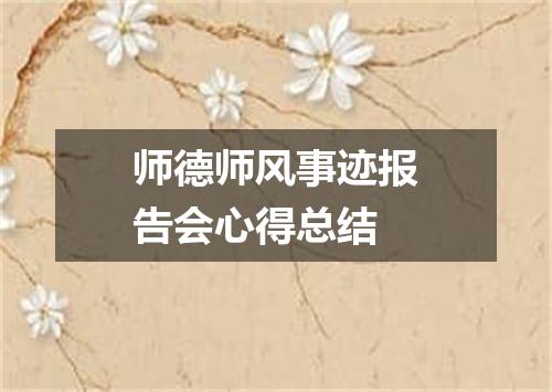 师德师风事迹报告会心得总结