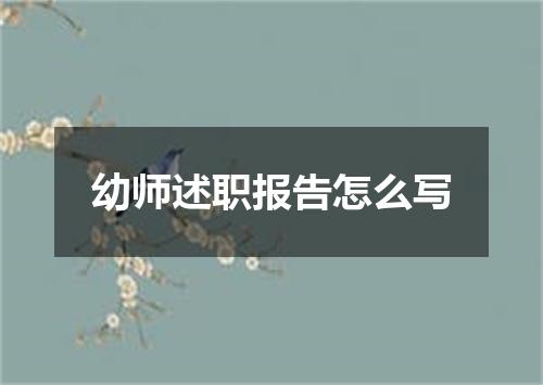 幼师述职报告怎么写