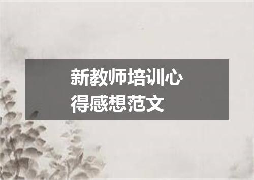 新教师培训心得感想范文