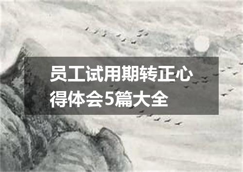 员工试用期转正心得体会5篇大全