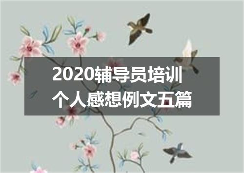 2020辅导员培训个人感想例文五篇