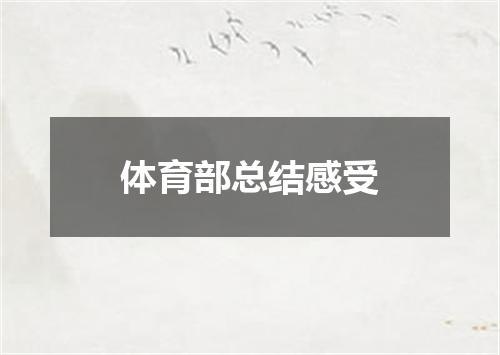 体育部总结感受
