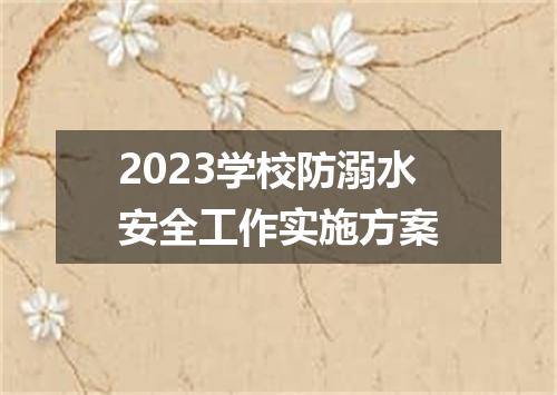 2023学校防溺水安全工作实施方案