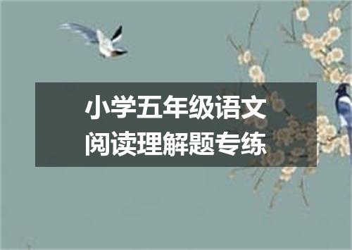 小学五年级语文阅读理解题专练
