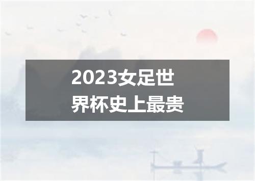 2023女足世界杯史上最贵
