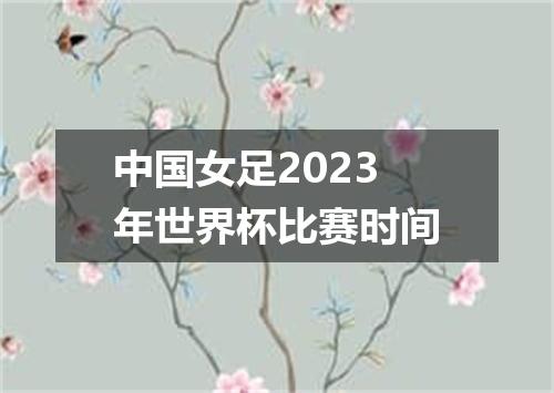 中国女足2023年世界杯比赛时间