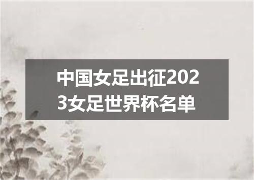 中国女足出征2023女足世界杯名单