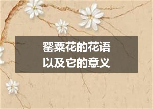 罂粟花的花语以及它的意义