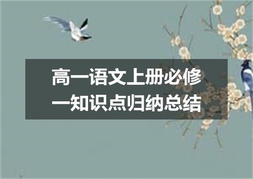 高一语文上册必修一知识点归纳总结
