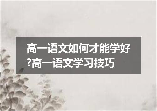 高一语文如何才能学好?高一语文学习技巧