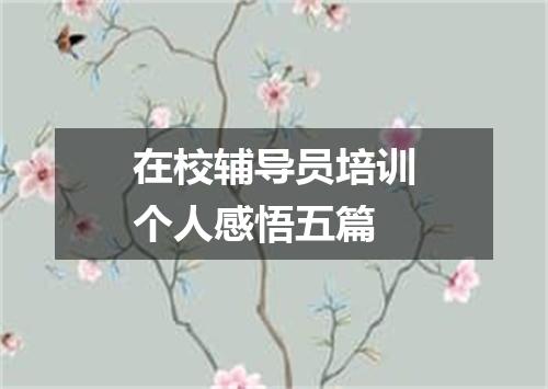 在校辅导员培训个人感悟五篇