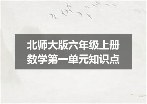 北师大版六年级上册数学第一单元知识点