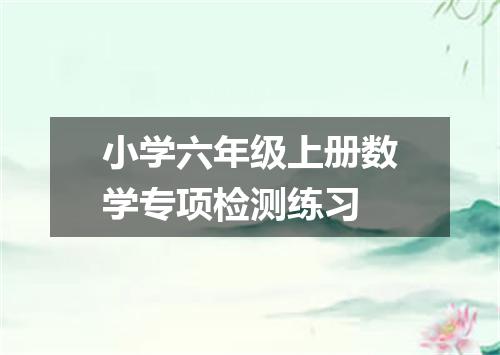 小学六年级上册数学专项检测练习