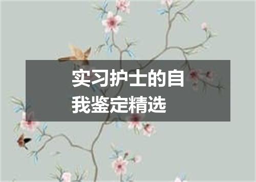 实习护士的自我鉴定精选