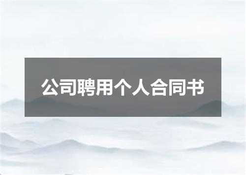 公司聘用个人合同书