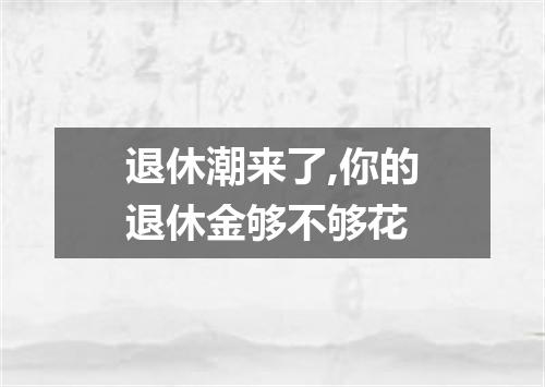 退休潮来了,你的退休金够不够花