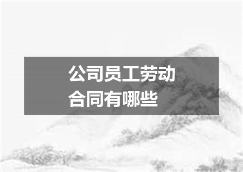 公司员工劳动合同有哪些