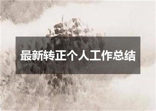 最新转正个人工作总结
