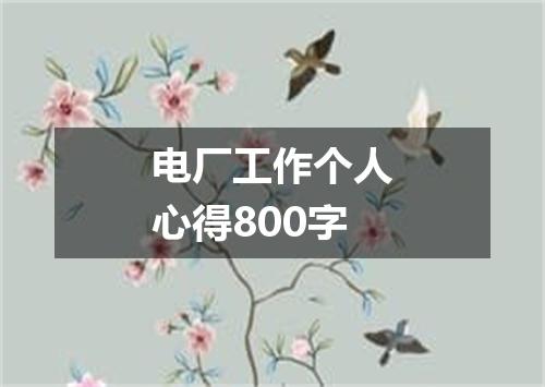 电厂工作个人心得800字