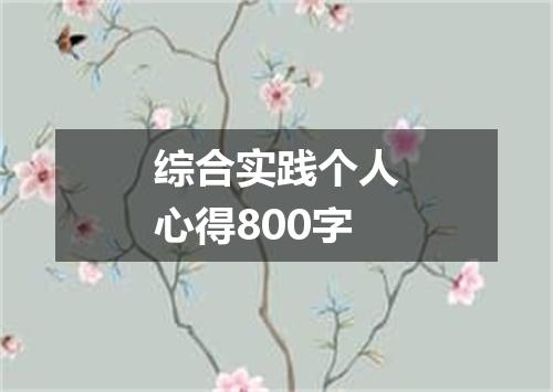 综合实践个人心得800字
