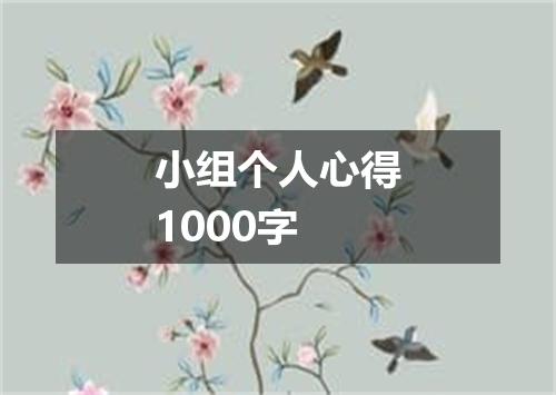 小组个人心得1000字