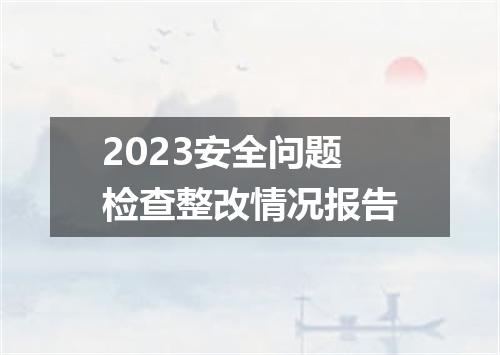 2023安全问题检查整改情况报告