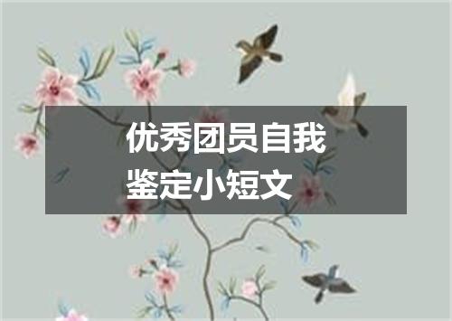 优秀团员自我鉴定小短文